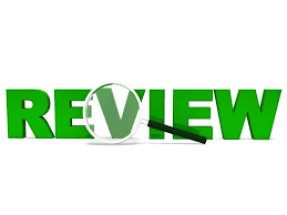 review essay代写