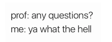 13.png