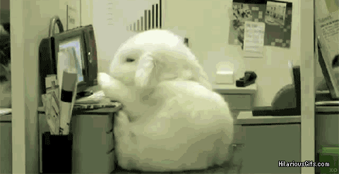 0 (55).gif