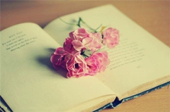 如何写essay conclusion