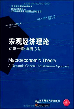 Macroeconomic Theory代写