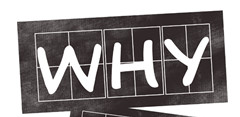 Admissions Officer告诉你Why Essay写作攻略