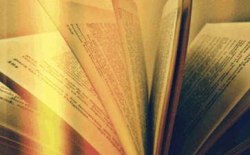dissertation写作