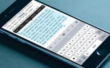 Essay Proofreading Essay Proofreading