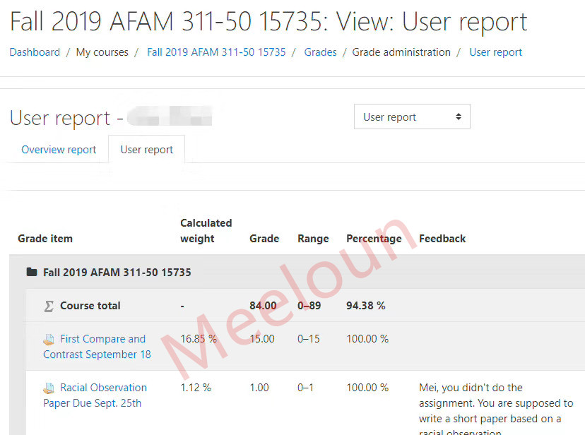 Fall 2019 AFAM网课代修案例展示